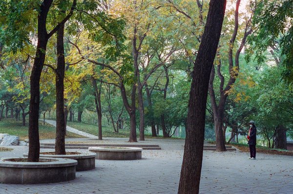 Micronutrition Sophro